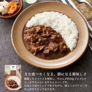 レトルト 牛たんカレー & シチュー 2種 10個 常温 常温保存 カレー シチュー