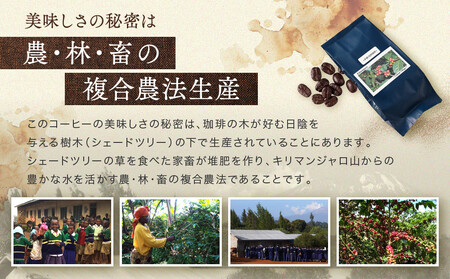 【手網焙煎】久々野ふるさとの香り キリマンジャロ ルカニ村 100ｇ | 焙煎 珈琲 コーヒー ルカニ村 キリマンジャロ あそびば.coffee 栄徳屋　LC012
