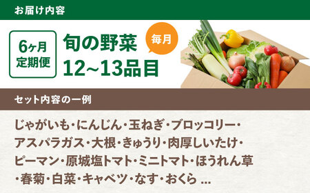 【6回定期便】野菜のプロが選ぶ 旬の野菜セット 12-13品目 野菜定期便 / 野菜 やさい セット 新鮮 / 南島原市 / 愛2農園[SGG003]