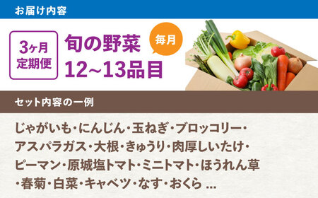 【3回定期便】野菜のプロが選ぶ 旬の野菜セット 12-13品目 野菜定期便 / 野菜 やさい セット 新鮮 / 南島原市 / 愛2農園[SGG004]