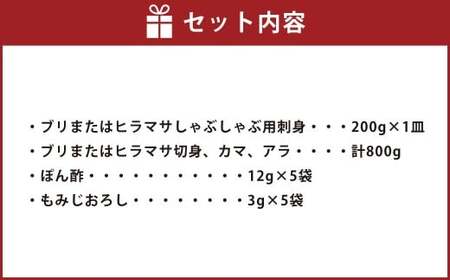 九州産 寒ブリ 平政 しゃぶしゃぶ鍋 ハーフコース 3人前 岡垣町 ／ しゃぶしゃぶ 鍋 寒鰤 寒ぶり 鰤 ぶり ブリ ひらまさ ヒラマサ 魚 海鮮 魚介 海の幸 天然 九州 福岡県 冷凍