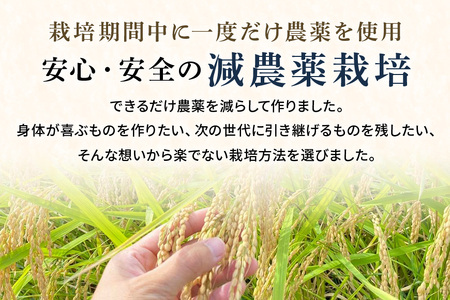 【毎月定期便】心と身体が踊りだす栽培期間中出来るだけ農薬を減らして作る「かすみ米」白米 5kg 全6回 お米 米 国産米 茨城県 潮来市 (A03-047)