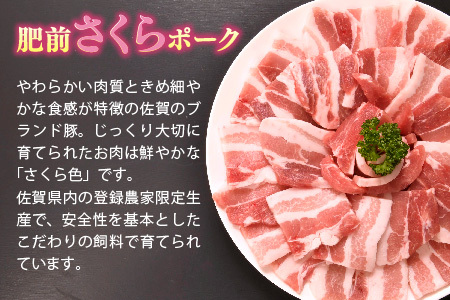 肥前さくらポーク 焼肉用 豚バラ 600g(H123109)