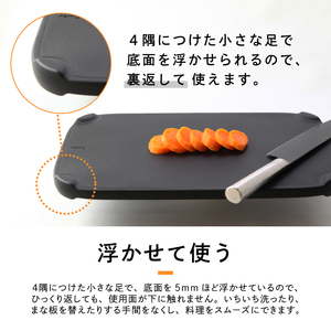 remy 抗菌返せるまな板（平野レミ・和田明日香監修）