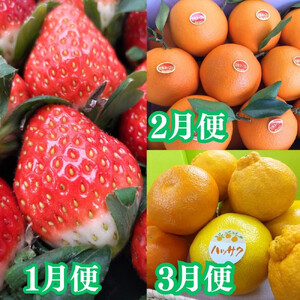【定期便全7回】美味しい果物定期便　