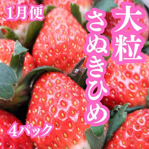 【定期便全３回】冬の美味しい果物