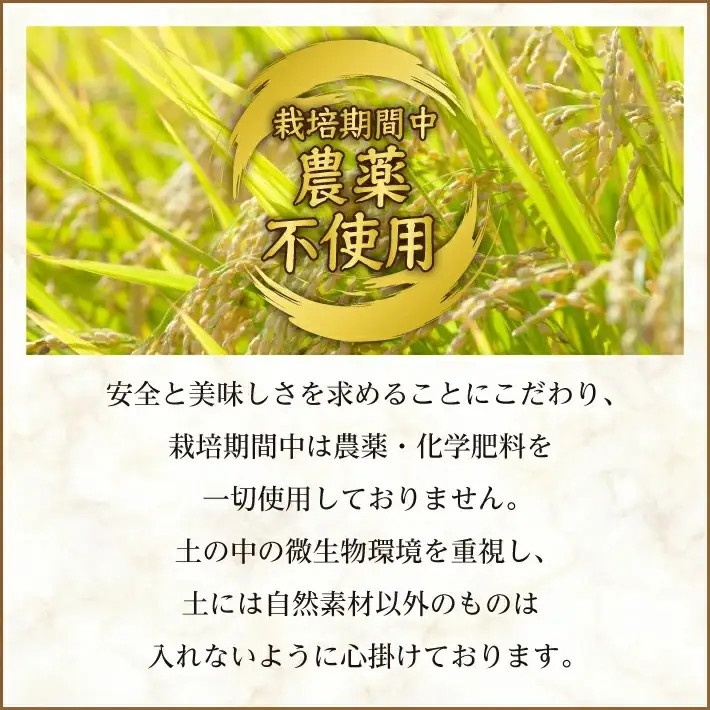 栽培期間中農薬不使用 つや姫 真空米 5kg 令和7年産米 山形県遊佐町産 特別栽培米 真空パック 東北 山形県 遊佐町 庄内 ハーモニー農園 [1523R07]