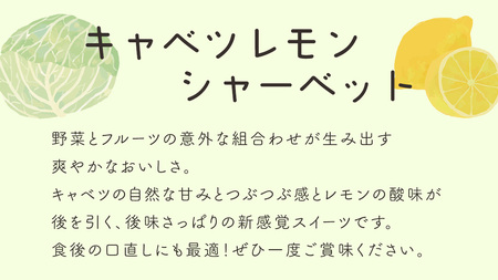 キャベツ レモンシ ャーベット 6個 セット [AH039tu]