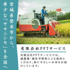 ≪6ヶ月定期便≫ 登米市産 ササニシキ 30kg (5kg×6回) お米 おこめ 米 コメ 白米 ご飯 ごはん おにぎり お弁当 頒布会【有限会社PFTサービス】tm478