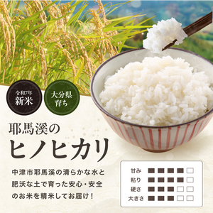 お米 ヒノヒカリ 精米 5kg | 米 おこめ こめ ひのひかり 白米 5キロ 国産米 おいしいお米 大分県産 九州産 中津市