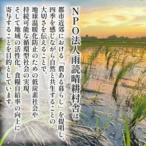 餅 玄米餅 64個 個包装 発芽玄米 餅