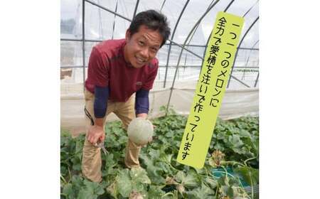 【訳あり】イバラキングメロン（大）1玉（約1.5kg以上）