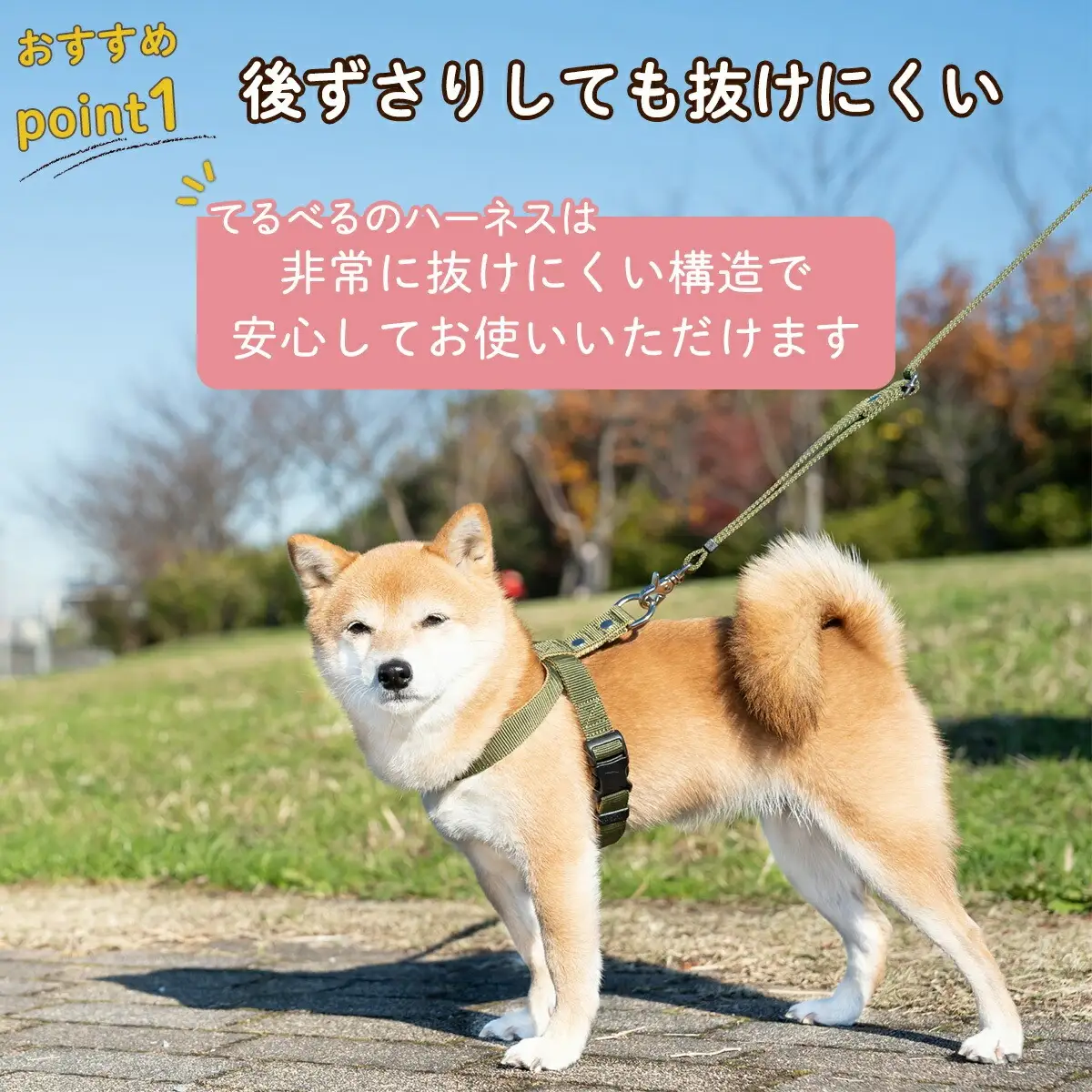 ハーネス 抜けにくい 嫌がらない 簡単装着 着脱らくらく 調整可能 34?100g | 犬用 胴輪 お散歩 安心設計 抜けない 脱げない 外れない ワンタッチ 簡単装着 ペットグッズ ペット用品 おしゃれ 可愛い プレゼント 贈り物 てるべる 埼玉県 越谷市