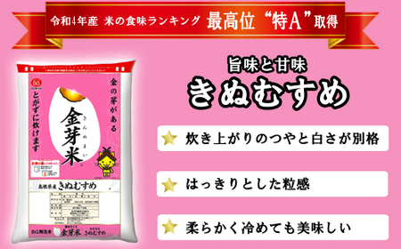 【定期便】BG無洗米・金芽米きぬむすめ 2kg×3ヵ月 [毎月] 計量カップ無し 令和7年産 3ヶ月 計6kg 東洋ライス 健康 島根県 安来市 【価格改定XA】【21-SS-58-2】