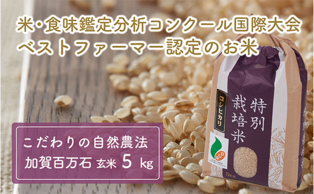  【令和7年度産】加賀百万石特別栽培米コシヒカリ玄米5kg 