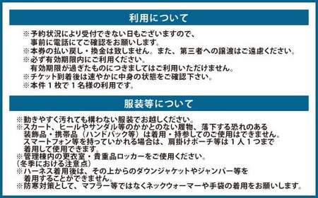 天空ジップライン ペア体験チケット 2枚 チケット ペア 体験 アクティビティ ジップライン 熊本県 上天草市