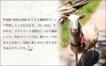 【1日1組限定】AREA1000 遊べるお山で1泊2日 AREA1000キャンプ 山梨県 甲斐市 CU-2