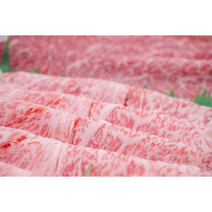 近江牛 すき焼き・しゃぶしゃぶ用 【霜降り・赤身盛り合わせ】800g