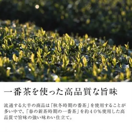 掛川茶 ペットボトル350ml×24本～伝統製法深蒸し茶～日本茶きみくら【39528】【配送不可地域：離島・沖縄県】【1637482】