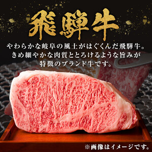 【A5等級】 飛騨牛 モモステーキ 約600g (200g×3枚)【 飛騨牛 】