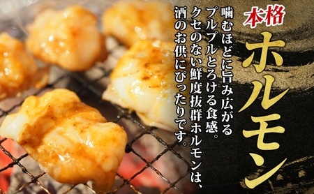 大沼亭 市場直営店 ホルモン XO醤 約1kg ホルモン焼き 豚ホルモン 豚ホル ぷるぷる とろける 食感 お酒のお供 おつまみ おかず ごはんのお供 冷凍 うつくしまエゴマ豚 お取り寄せグルメ 送料無料 福島県 郡山市