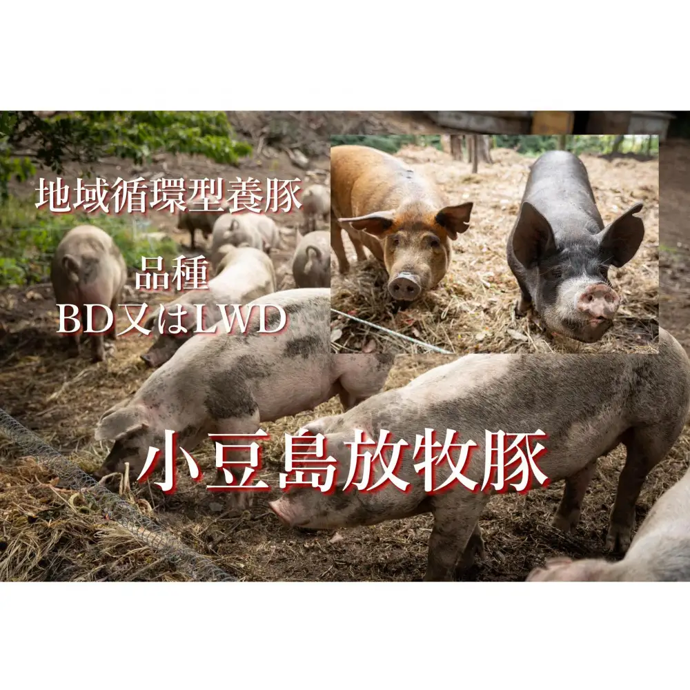 小豆島放牧豚の生ハム (小豆島発酵紅腿)スライスパック30g×3