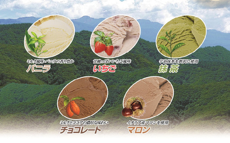 【安定剤・着色料不使用】 共進牧場 牧場アイスクリーム 10個 神戸六甲 アイスギフトセット ／ 人気 こだわり プレミアム 贅沢 濃厚 コク 酪農家 生乳 バニラ いちご チョコ 抹茶 マロン 牧場 夏 おやつ 菓子 お取り寄せ お菓子 洋菓子 ギフト お中元 贈答 贈り物 プレゼント お返し 夏ギフト 誕生日 兵庫県