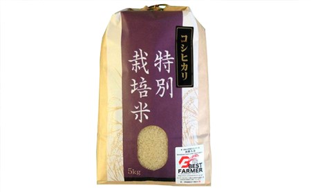  【令和7年度産】加賀百万石特別栽培米コシヒカリ玄米10kg 