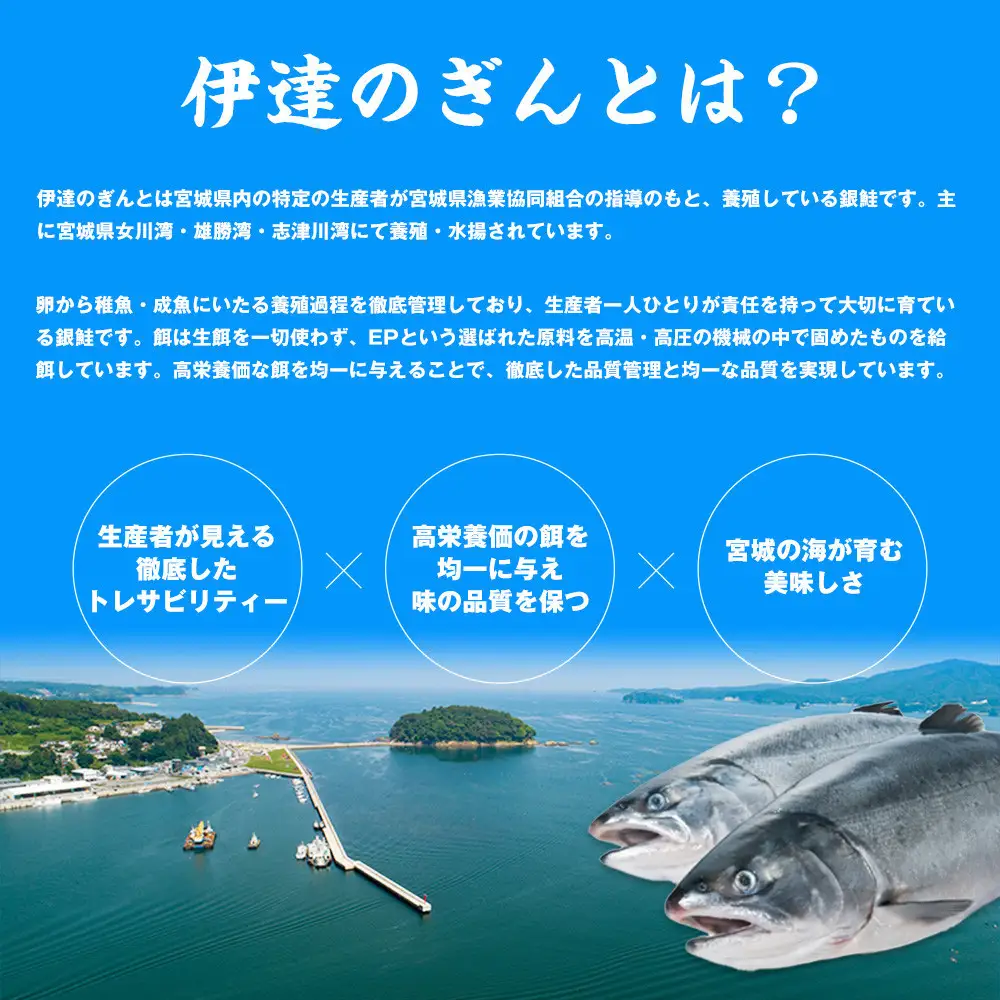 伊達の銀鮭モンゴル岩塩漬け 10切入（2切×5パック）  ｜ 銀鮭