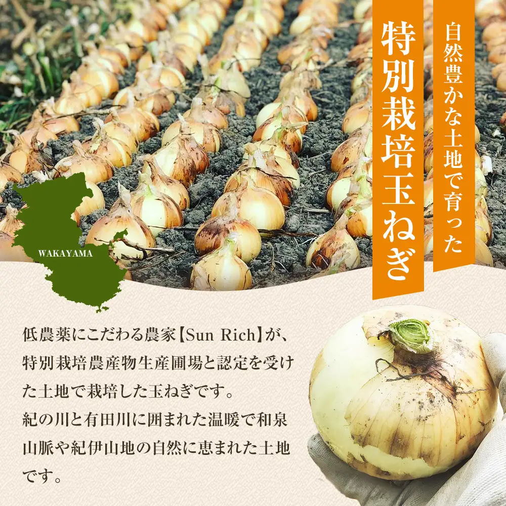 ［2026年発送分・先行予約］訳あり 農家さん直送 低農薬玉ねぎ 10kg程度 S～2L混合［4月中旬～7月中旬頃発送予定］ご家庭用 ※傷有り［KF14］