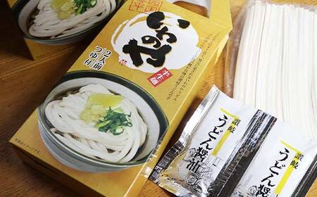 半生うどん（つゆ付き）10箱 うどん 麺 麺類 加工品 食品 F5J-174