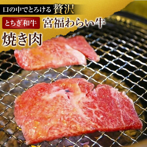 宮福わらい牛（とちぎ和牛） A5 モモ焼き肉　約400g　たれ付