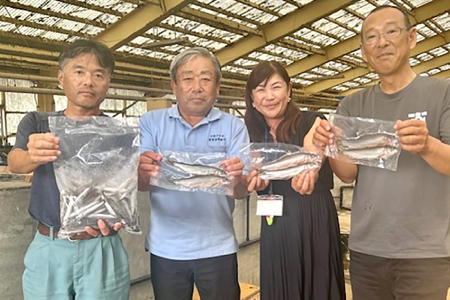 日野川育ちの「夏香鮎」瞬間冷凍1kg(約12～14尾）【鮎 冷凍 1kg 国産 アユ あゆ 魚 魚介 海鮮 養殖 川魚 塩焼き 甘露煮 煮凝り 素揚げ 天ぷら 鳥取県 日吉津村 日野川 日本海】