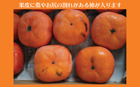 柿 訳あり 5kg 【富有柿 と 次郎柿】