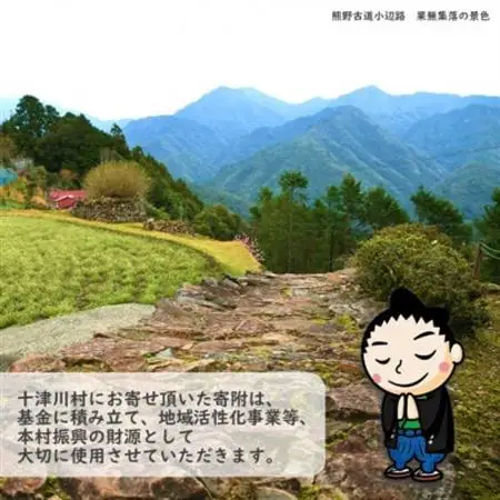 【返礼品なし】十津川村応援寄付　10,000円