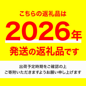 ＜期間限定！2026年2月上旬以降順次発送予定＞いちご2品種食べ比べセット(約250g×4P・約1kg) 食べ比べ セット 産地直送 新登場 【man347】【クズハラ農園】