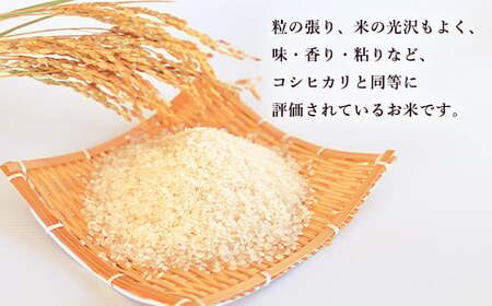 【令和7年産】大分県産ひとめぼれ 10kg 5kg×2 【2025年11月上旬発送開始】