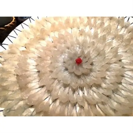 宮城天然とらふぐ刺し(4～5人前)【配送不可地域：離島・北海道・沖縄県・信越、北陸・近畿・中国・四国・九州】【1634562】