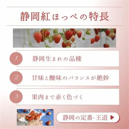 【2027年先行受付】静岡県磐田市 いちご 紅ほっぺ 約260g×2パック【配送不可地域：離島・北海道・沖縄県】【1640742】
