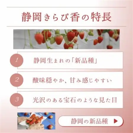 静岡県磐田市 いちご食べ比べ きらぴ香 紅ほっぺ 約260g 各1パック【配送不可地域：離島・北海道・沖縄県】【1640748】