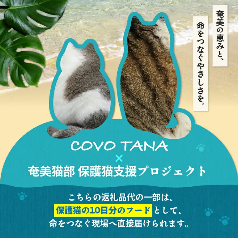 【 奄美 の 保護猫 支援 （ 保護猫フード 10日分 ）】＋ 黒糖ミルク シャーベット （ 6個 入り ） A071-003 菓子 スイーツ 黒糖ミルクジェラート ジェラート デザート 保護猫支援 保護猫プロェクト cafeCOVOTANA ふるさと納税 鹿児島 奄美市 おすすめ ランキング プレゼント ギフト
