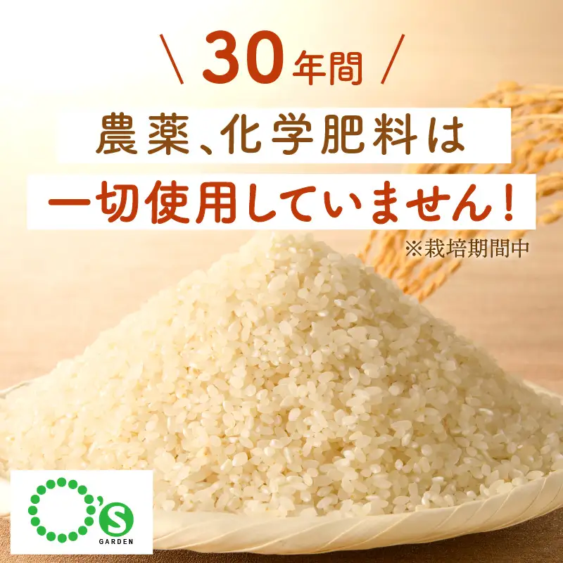 【令和7年産】農薬・化学肥料不使用 真ちゃん米 20kg【G2-007】