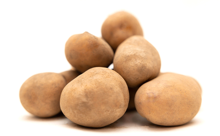 先行予約/2026年秋発送 北海道 十勝 幕別産 じゃがいも インカのめざめ 約5kg【横山農園】  野菜 根菜 フライドポテト ポテトチップス 変色しにくい 煮崩れしにくい 黄金色 北海道のジャガイモ 