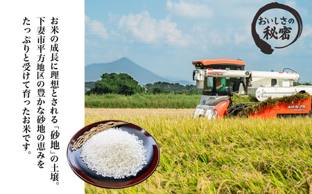 精米 5kg 令和7年産 コシヒカリ 茨城県 下妻市産
