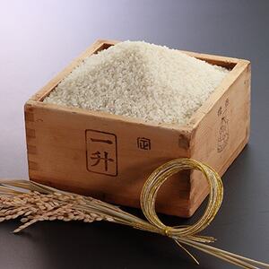 令和7年産　特別栽培米あきたこまち5kg(白米)【配送不可地域：離島・沖縄県】【1670573】