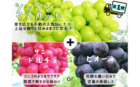 【2回定期便】 シャインマスカット 岡山県産ブドウ シャインマスカット＆マイハート入り定期便2.4kg(４～６房)  【hfbd-tkb005-02】