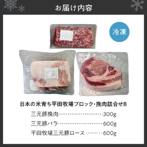 日本の米育ち平田牧場ブロック・挽肉詰合せB