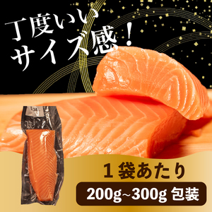【 濃厚な旨味 】サーモン 700g-720g  サーモン