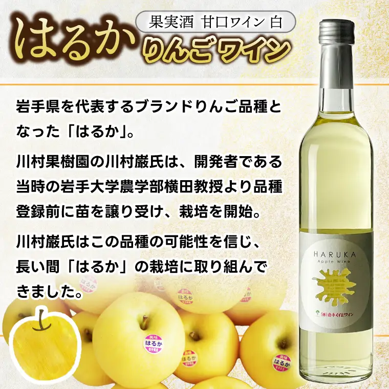 りんごワイン「はるか」2本セット(EX002)ワイン 