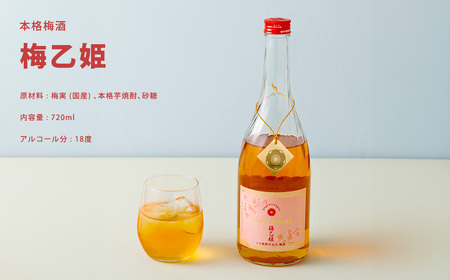 うまかぞー九州 本格梅酒 梅乙姫 720ml 梅酒 KN163-002 酒